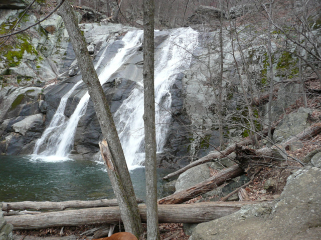 P1000525.jpg