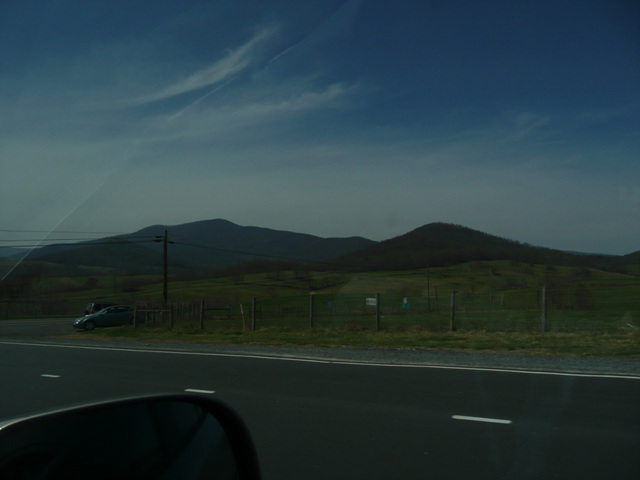 P1000507.jpg