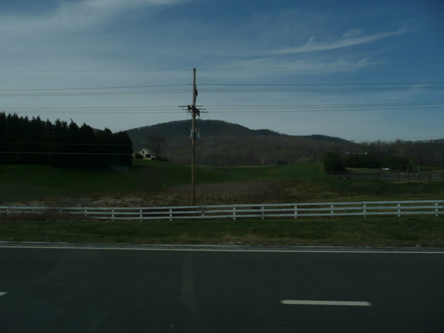 P1000509.jpg