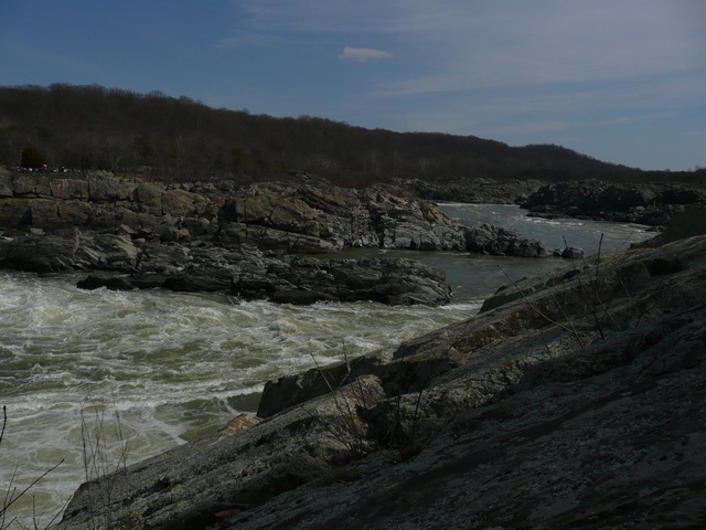 P1000418.jpg