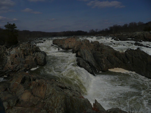P1000420.jpg