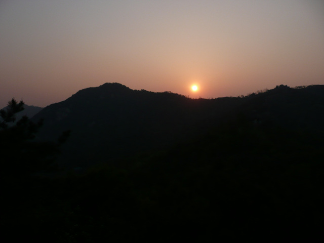 P1000599.jpg