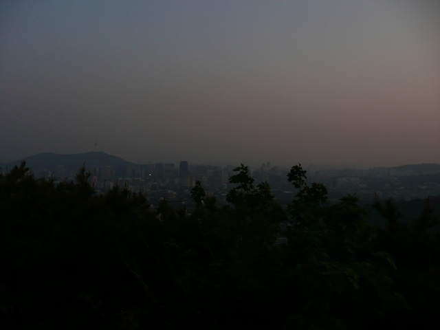 P1000602.jpg