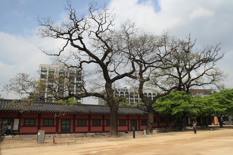 2008-07-06-012.jpg