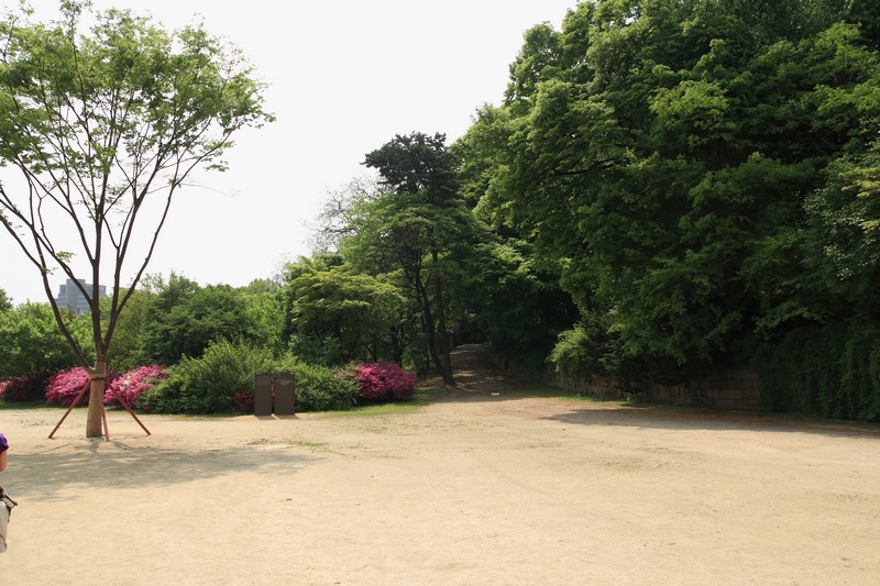 2008-07-06-075.jpg
