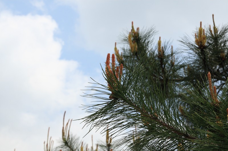 2008-07-06-020.jpg