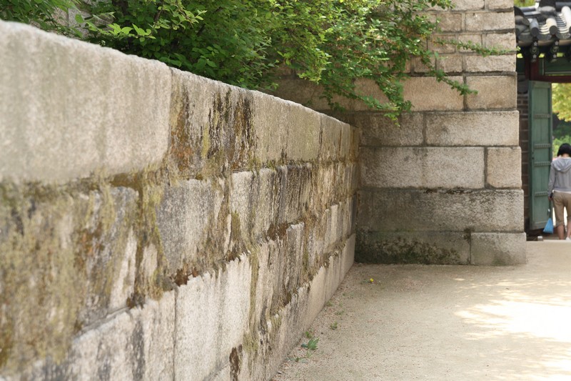 2008-07-06-073.jpg