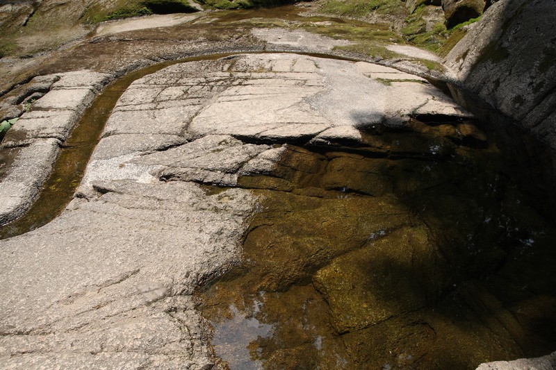 2008-07-06-113.jpg