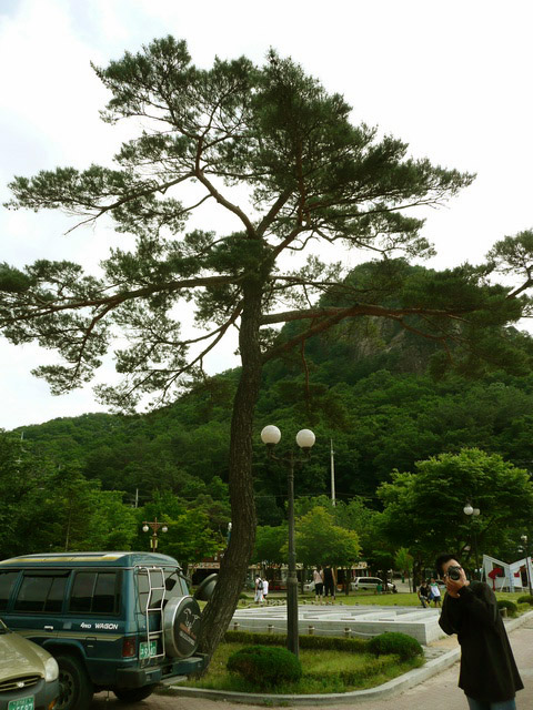 P1000745.jpg