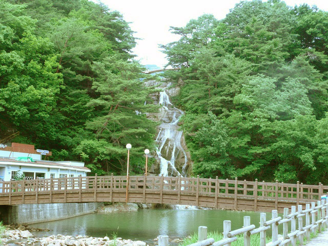 P1000731.jpg