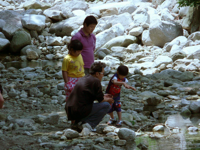 P1000757.jpg