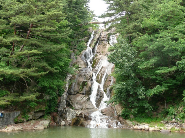 P1000733.jpg
