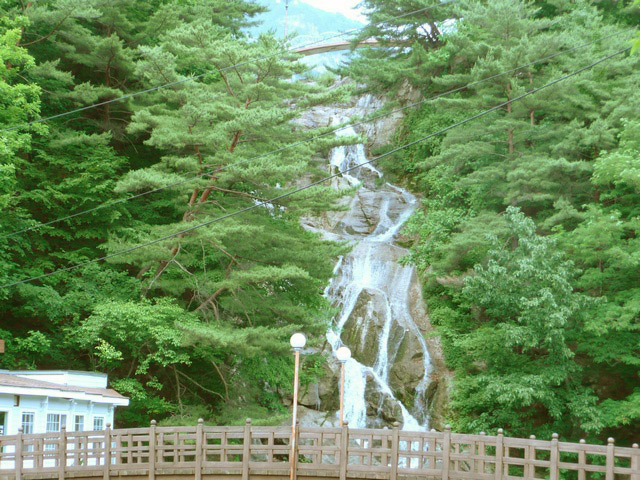 P1000730.jpg