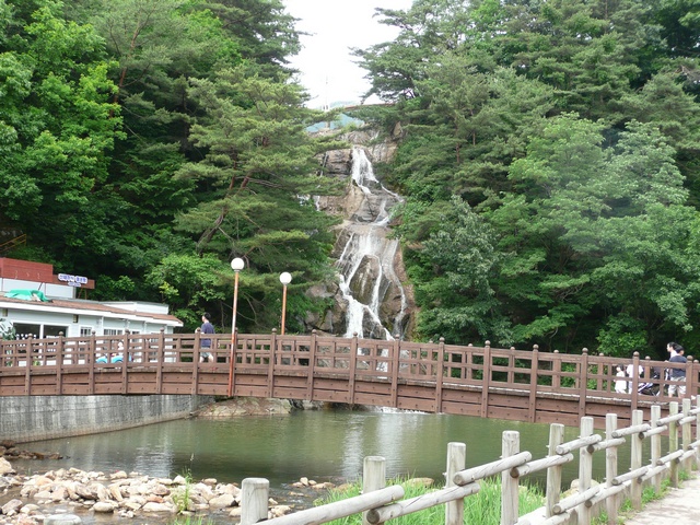 P1000732.jpg