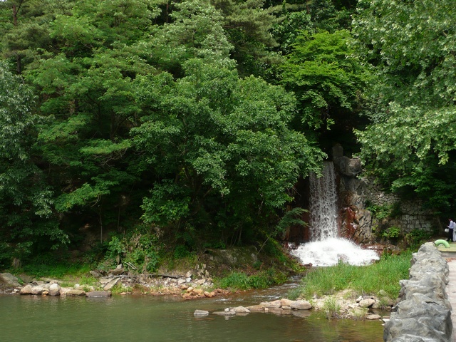 P1000734.jpg