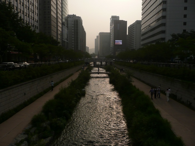 P1000666.jpg