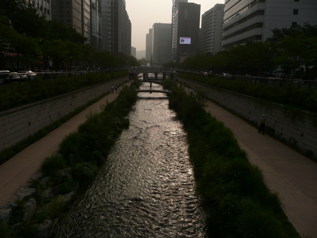 P1000665.jpg