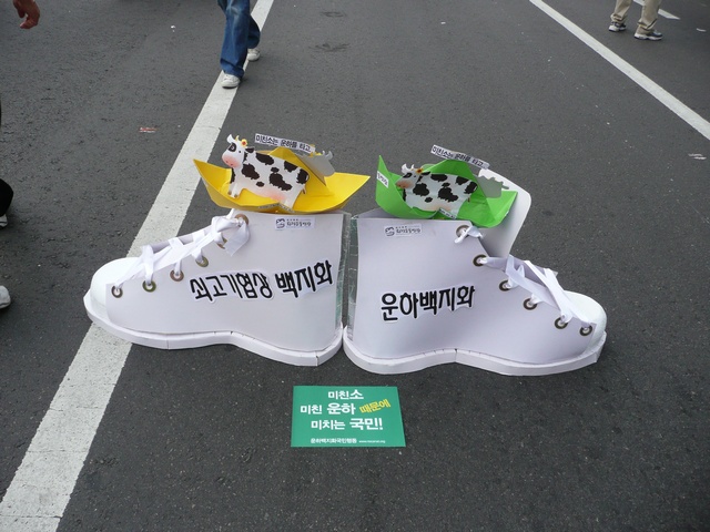 P1000687.jpg