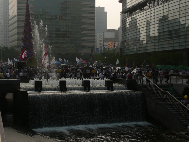 P1000668.jpg