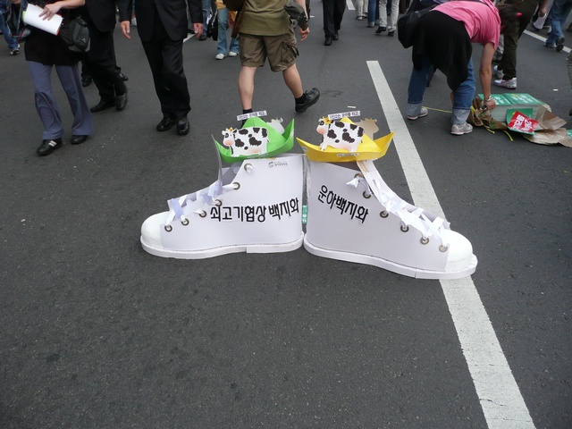 P1000685.jpg