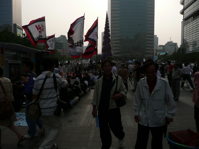 P1000671.jpg