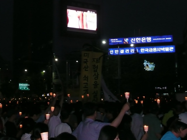 P1000713.jpg