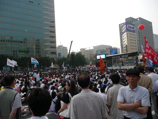 P1000675.jpg