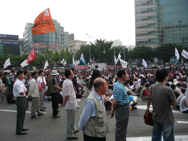 P1000676.jpg