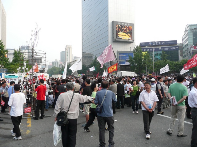 P1000677.jpg