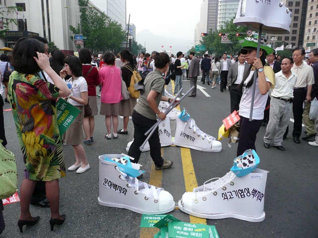 P1000690.jpg