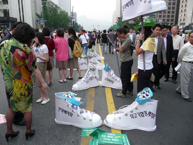P1000691.jpg
