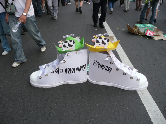 P1000686.jpg