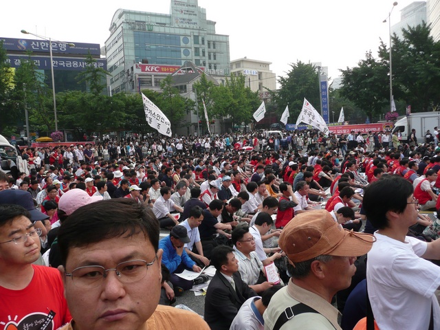 P1000681.jpg