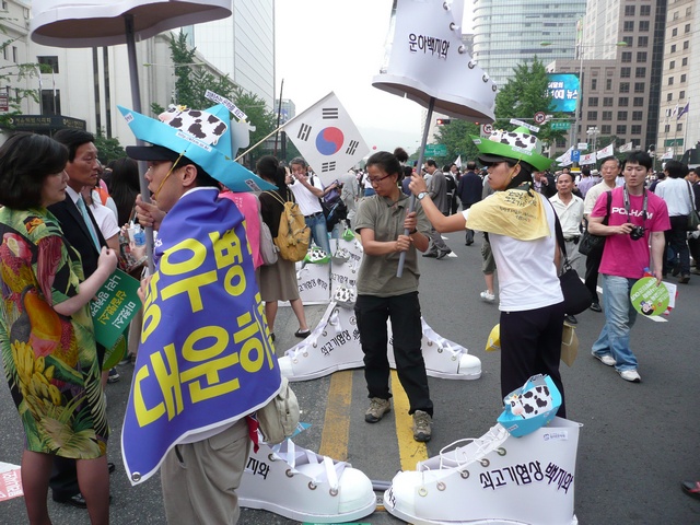 P1000689.jpg