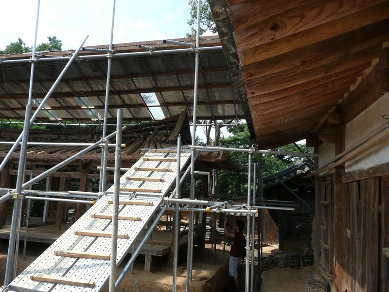 P1000850.jpg