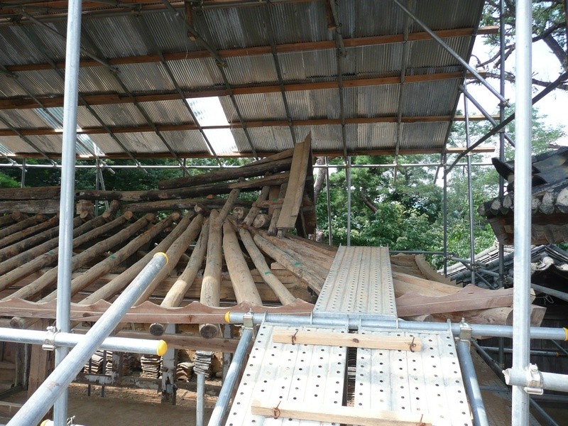 P1000851.jpg