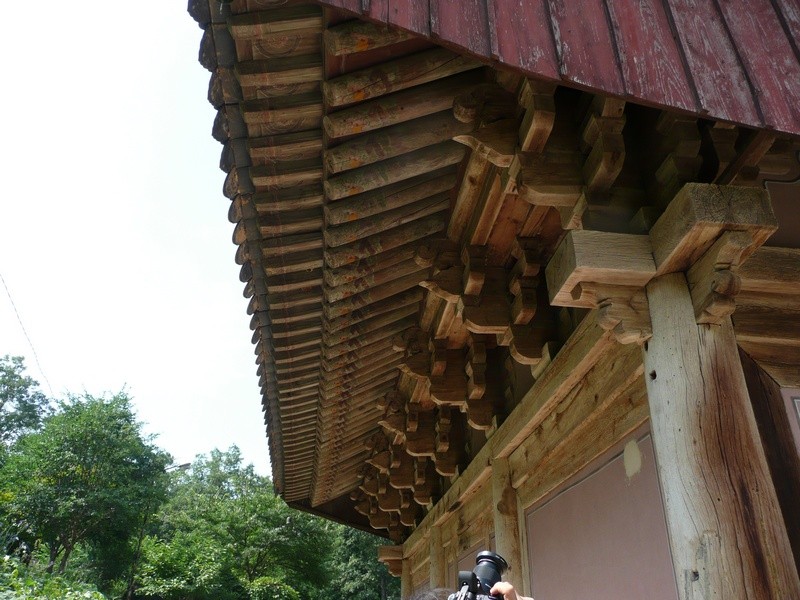 P1000856.jpg