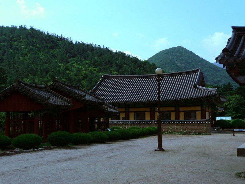 P1000789.jpg