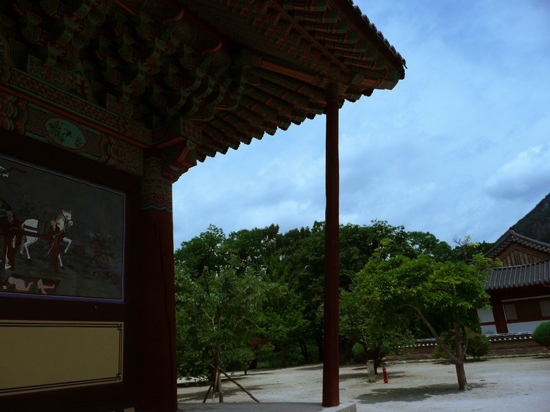 P1000811.jpg