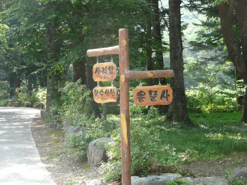 P1000778.jpg