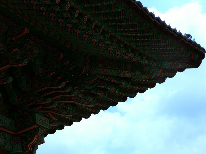 P1000824.jpg