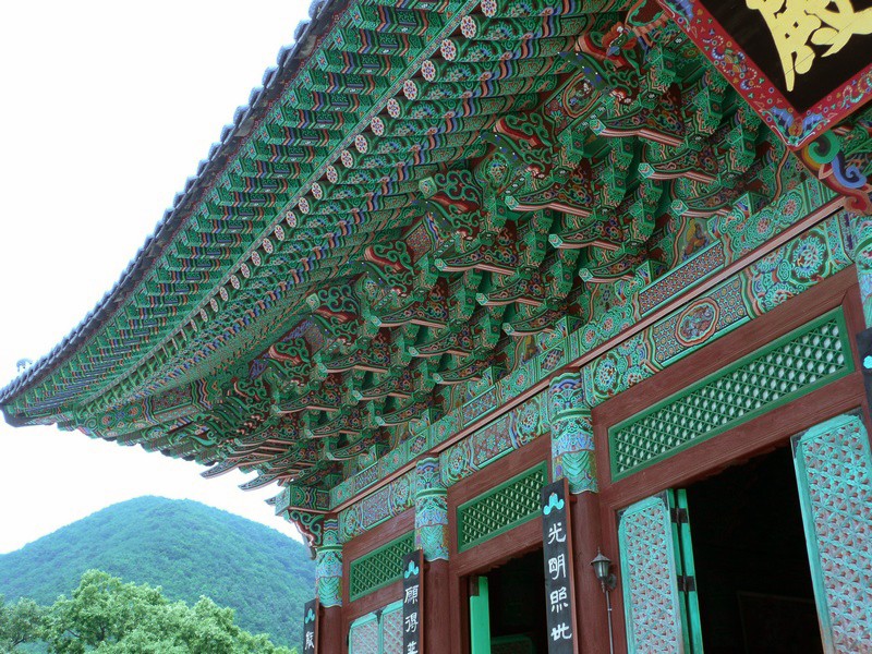 P1000825.jpg