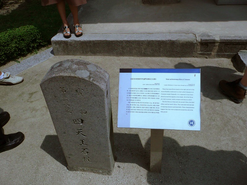 P1000793.jpg