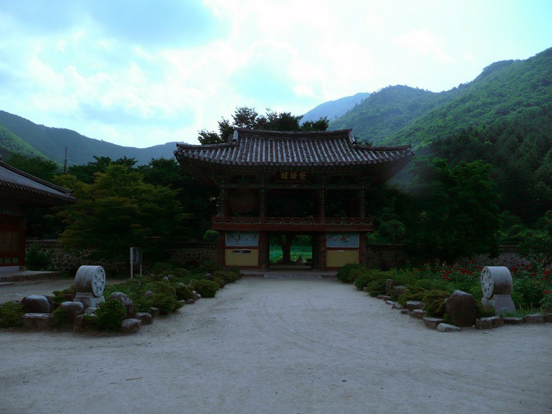P1000788.jpg