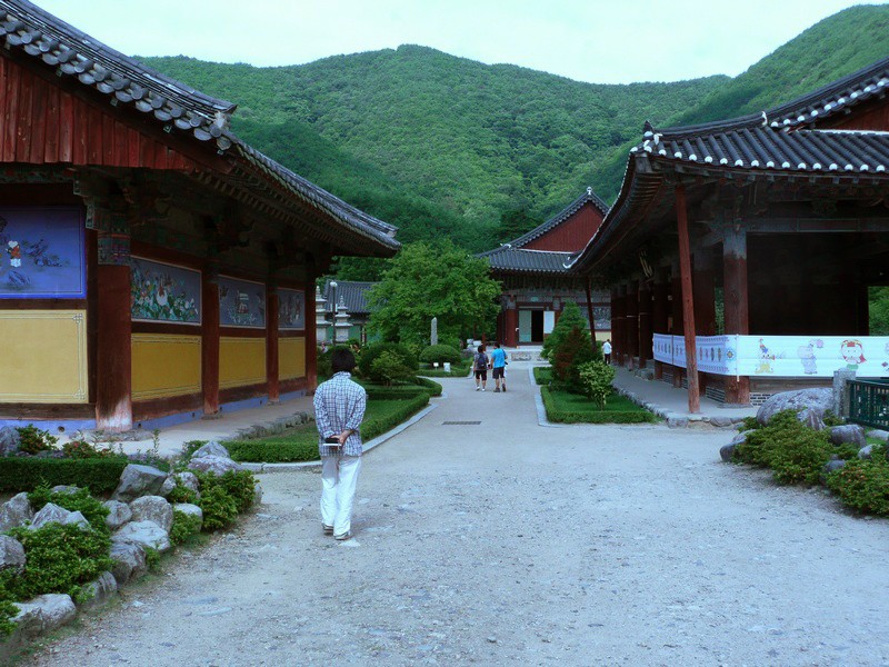 P1000792.jpg