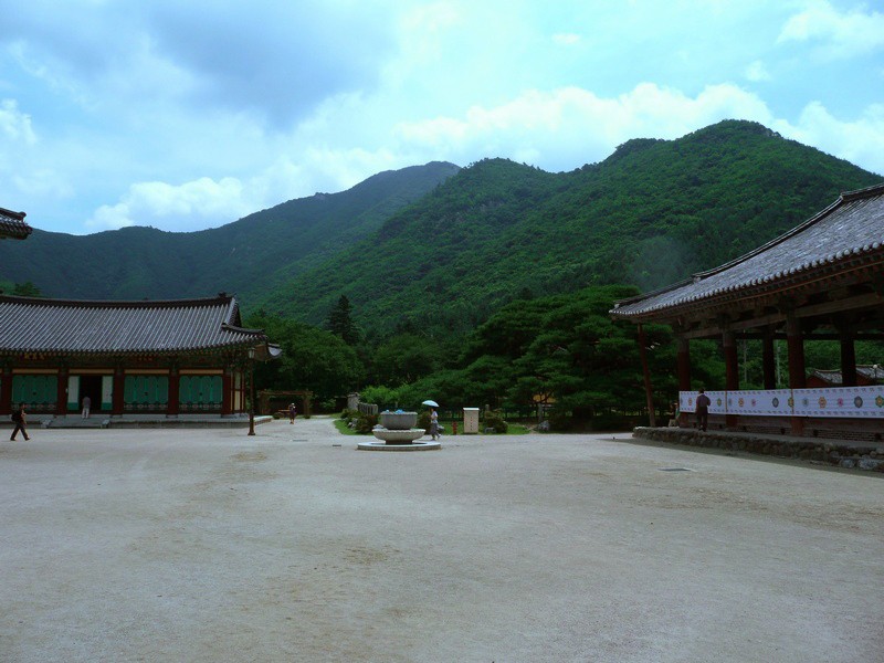 P1000821.jpg