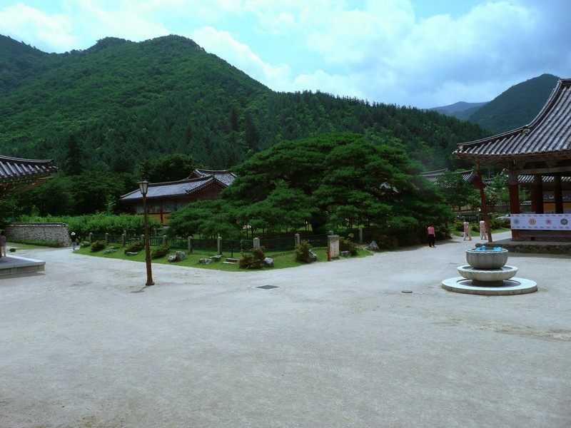 P1000827.jpg