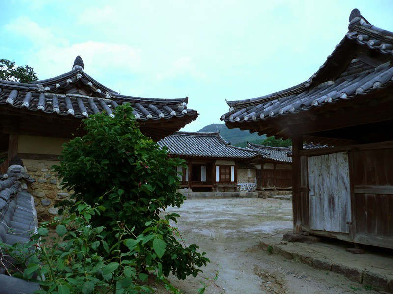 P1000849.jpg