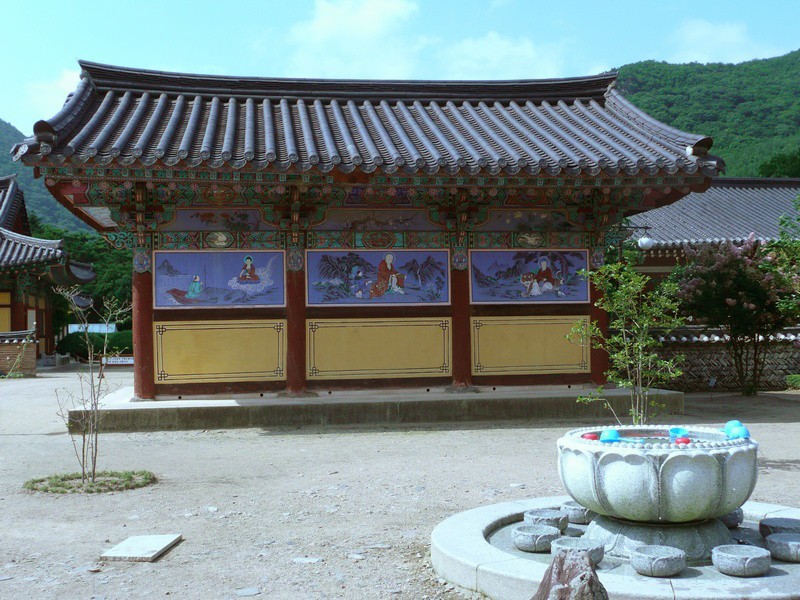 P1000790.jpg