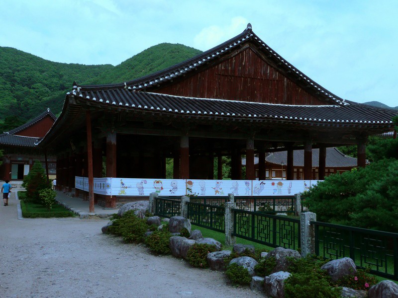 P1000791.jpg